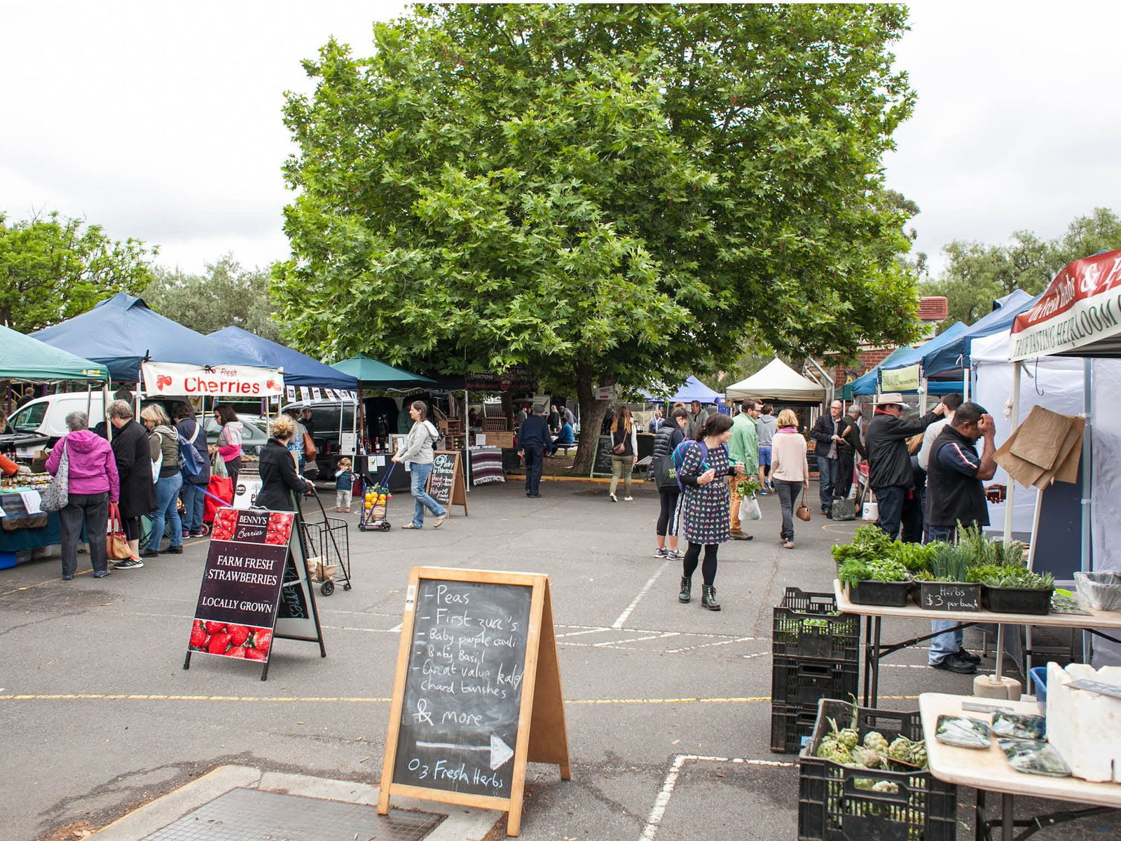 Alphington VIC Yarra Valley Accommodation