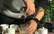 BrewIN Melbourne: A Slow Tea Event - thumb 1