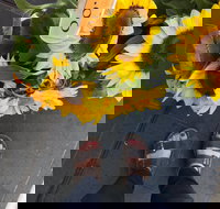 Friday Forage - Yarra Valley Accommodation