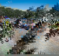 JetBlack Wild Wombat MTB Challenge - Yarra Valley Accommodation