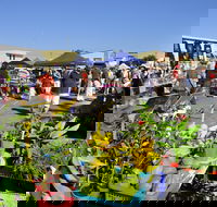 Maclean Community Monthly Markets - Yarra Valley Accommodation