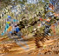 NSW State Downhill Mountain Bike Championships - Yarra Valley Accommodation