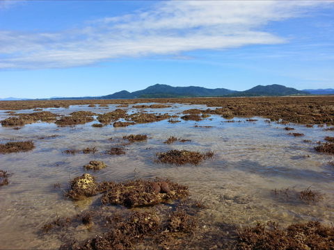 Walk To The Reef - Yarra Valley Accommodation 0
