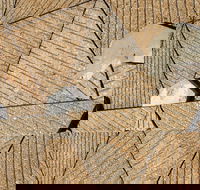 WA Now  Tom Mller Monolith Scores - Virtual Exhibition - Yarra Valley Accommodation