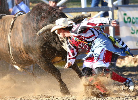 AgriWest Cooma Rodeo - Yarra Valley Accommodation 2
