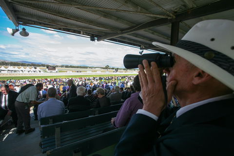 Albury Racing Club Boxing Day Races - Yarra Valley Accommodation 1