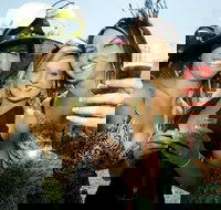 Albury Racing Club January Race Day - Yarra Valley Accommodation