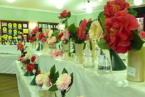 Blackheath Flower And Craft Show - Yarra Valley Accommodation 1