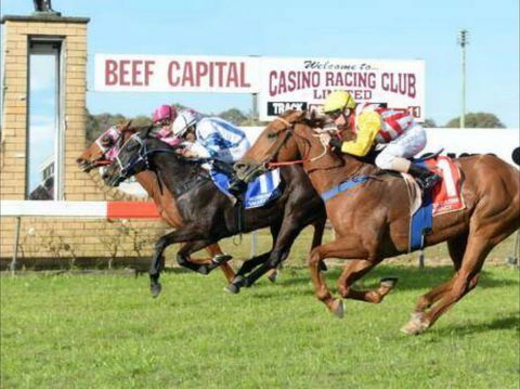 Casino Cup - Yarra Valley Accommodation 0