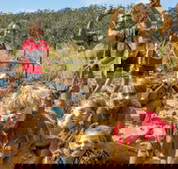 Mini Muddies Obstacle Challenge at Bunnamagoo Estate - Yarra Valley Accommodation