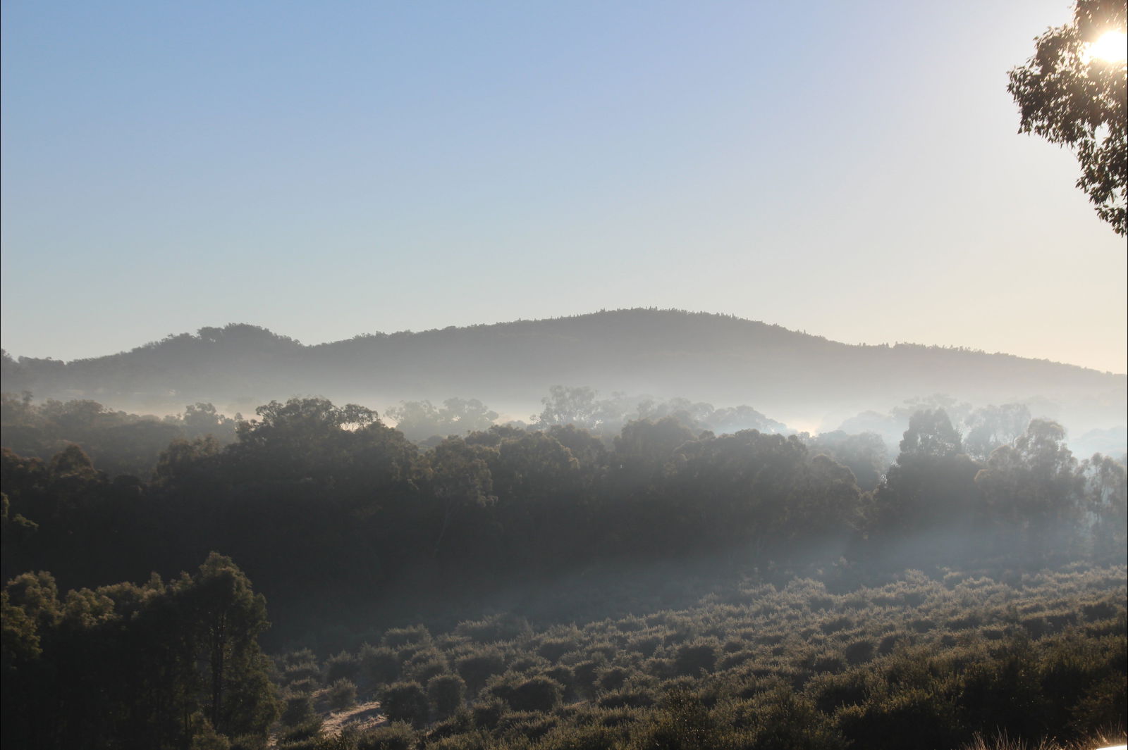 Mullamuddy NSW Yarra Valley Accommodation