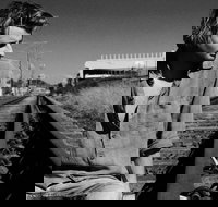 Music in the Gardens - Mitch King - Yarra Valley Accommodation