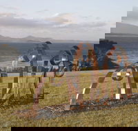 Sculpture Bermagui - Yarra Valley Accommodation