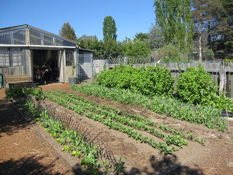 All Season Cold Climate Organic Vegetable Growing - Yarra Valley Accommodation 1