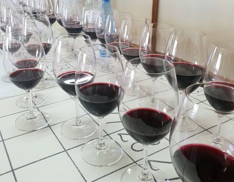 Australian Cool Climate Wine Show - Yarra Valley Accommodation 1