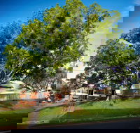 Big Bat Wildlife and Eco Festival - Yarra Valley Accommodation