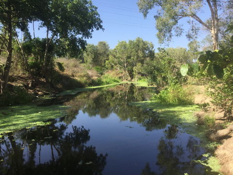 Conservation Volunteers Australia Townsville - Creekwatch - Yarra Valley Accommodation 0