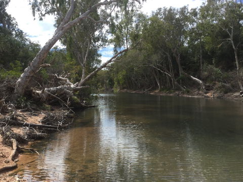 Conservation Volunteers Australia Townsville - Creekwatch - Yarra Valley Accommodation 2