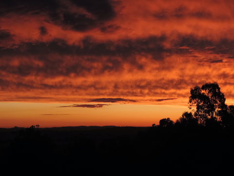 Father's Day At Cottontail Wines - Yarra Valley Accommodation 0