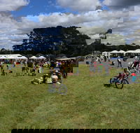 Majors Creek Festival - Yarra Valley Accommodation