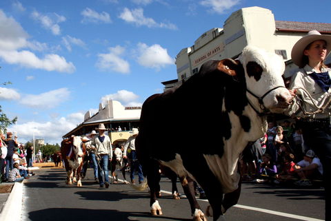 NCMC Casino Beef Week - Yarra Valley Accommodation 1