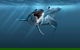 Sea Monsters - Prehistoric Ocean Predators - thumb 0