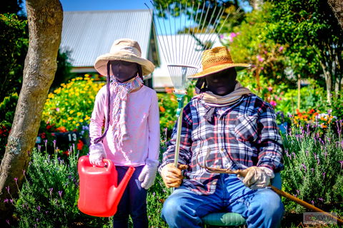 Tamborine Mountain Scarecrow Festival - Yarra Valley Accommodation 2