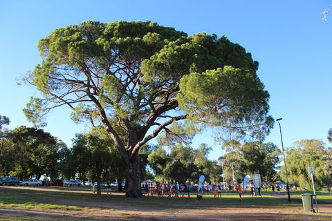 Wagga Parkrun - Yarra Valley Accommodation 1