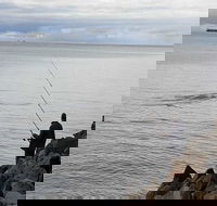 Whale Watching in Portland - Yarra Valley Accommodation