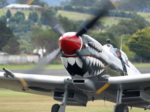 Wings Over Illawarra - Yarra Valley Accommodation 0