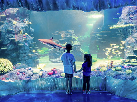 Sydney's Aquarium - Yarra Valley Accommodation 1