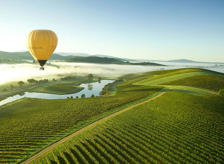 Hot Air Ballooning Over the Valley