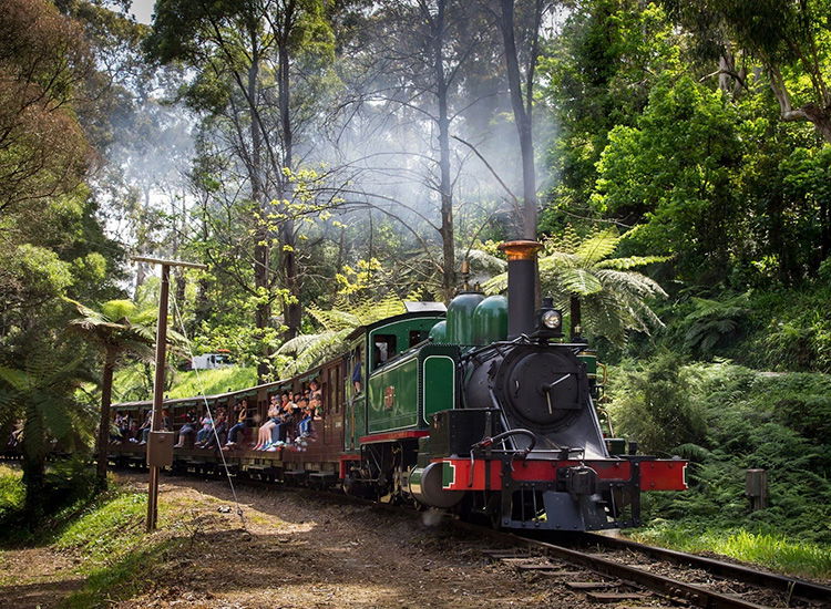 Yarra Valley Attractions