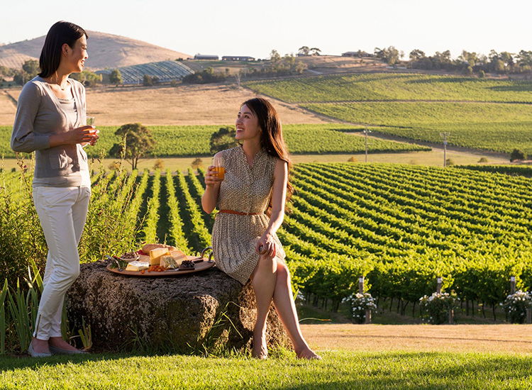 Explore Yarra Valley