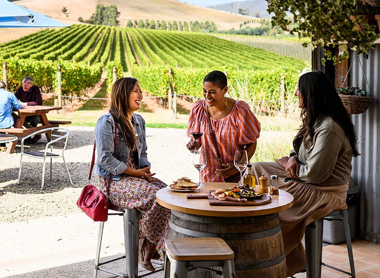 Wine Tasting and Vineyard Experiences