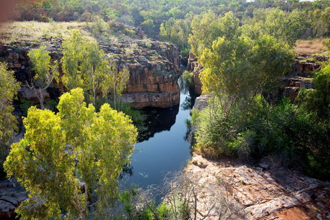 Mt Hart Wilderness Lodge - Yarra Valley Accommodation 4