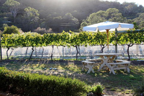 Every Man & His Dog Vineyard - Yarra Valley Accommodation 6
