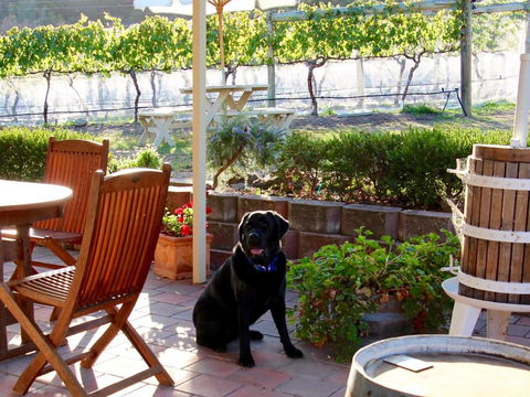 Every Man & His Dog Vineyard - Yarra Valley Accommodation 7