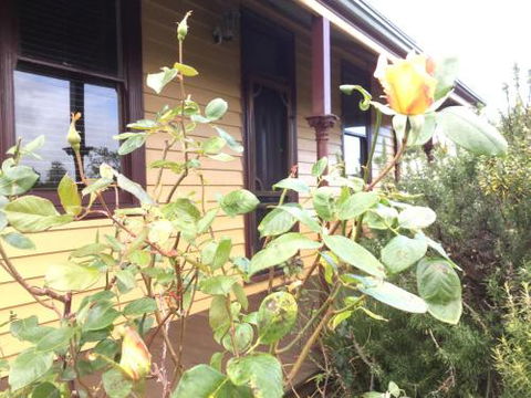 Albion Cottage - Yarra Valley Accommodation 4