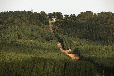 Nannup Hideaway - Yarra Valley Accommodation 4