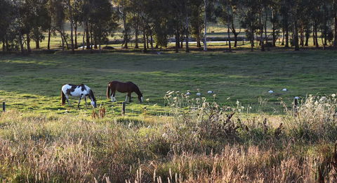 Labertouche Gypsy Creek Winery - Yarra Valley Accommodation 3