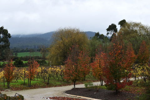 Labertouche Gypsy Creek Winery - Yarra Valley Accommodation 5