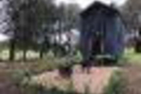 Willandra Tiny House - Yarra Valley Accommodation 5