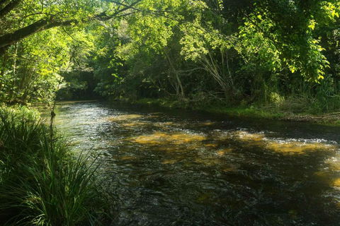 Cairns Homestead Acreage Pet & Family Friendly - Yarra Valley Accommodation 2
