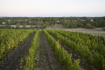 Barristers Block Vigneron Villa - Yarra Valley Accommodation 3