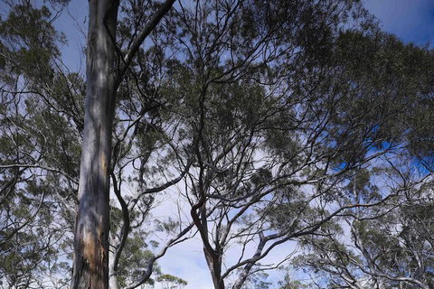 Rocky Hills Retreat - Yarra Valley Accommodation 7