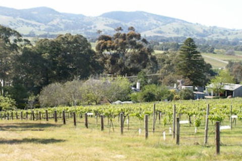 Archery Road Estate - Yarra Valley Accommodation 0