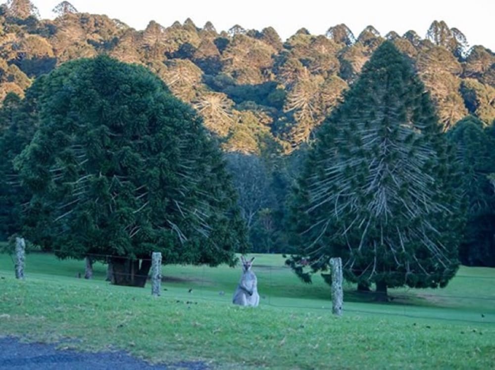 Kilbirnie QLD Yarra Valley Accommodation