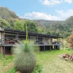 Cabbage Tree Farm Seclusion & Tranquillity! - Yarra Valley Accommodation 0