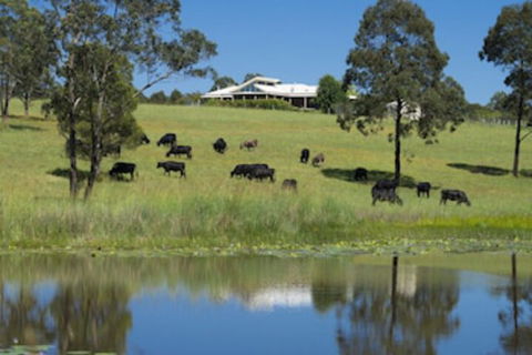 Talumberi 221 Trapyard Road - Yarra Valley Accommodation 0